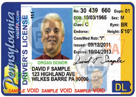 get a duplicate pa drivers license